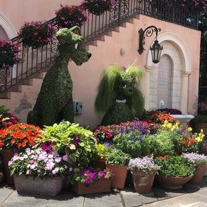 Meet your Posher, Cynthia